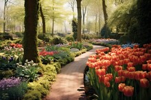 Vibrant Tulips Flourish Amidst Keukenhof Gardens In Holland. Generative AI
