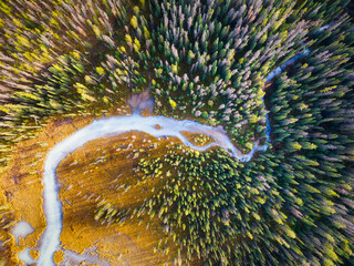 Wall Mural - a drone view of the river in the woods. an aerial view of an autumn forest. winding river among the 
