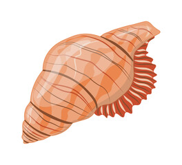 Wall Mural - Vector cartoon illustration of colorful seashells on white background.