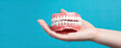 Woman Hand Holding tooth or detal model on blue background.