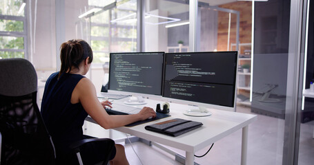 Poster - Software Programmer Or Coder Woman