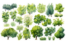 Various Green Trees, Bushes And Shrubs, Top View For Landscape Design Plan. Watercolor Illustration, Isolated On White Background