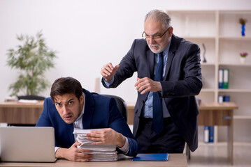 Wall Mural - Two male colleagues working in the office