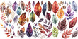 Set of winter leaves watercolor Decor of hand drawn, winter leaves  Red and Green, Brown and White, Orange color, winter leaves elegant watercolor , winter leaves isolated transparent background, PNG.