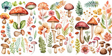 Set Of Mushroom Watercolor Collection Of Hand Drawn, Mushroom Orange Color, Mushroom Elegant Watercolor , Mushroom Isolated Transparent Background, PNG.	