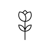 Fototapeta Tulipany - Line sketch flower icon vector