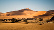 The Big Mama Dune on the eastern edge of the Sossusvlei pan, Namib-Naukluft National Park, Namibia. The dune stands at a heigh of 200 meters (650 feet) and is part of the Namib Desert.