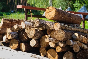 Cut tree trunks intended for fuel for fires or barbecues, stacked in an open space.