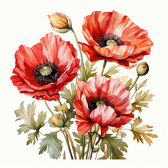 Wall Mural - watercolor poppy clipart, generative ai