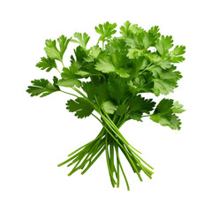 Wall Mural - fresh chervil isolated on white background, ai generated