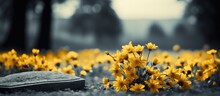 Yellow Flowers Adorn The Cemetery From The Past With Copyspace For Text