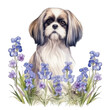 Bluebonnet flowers and a shih tzu puppy