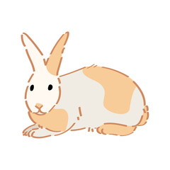 Wall Mural - Cute funny rabbit on white background