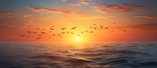 Morning sunrise and birds above the sea at dawn With copyspace for text