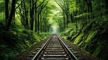 Railway In The Forest
