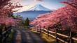 blooming pink cherry blossom and mount Fuji at background.