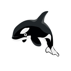 Wall Mural - Orca (killer whale) on white background
