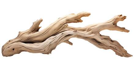 Wall Mural - driftwood isolated on transparent background