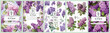 Set of Elegant Lilac, Realistic Vector Illustrations of Flowers, Leaves, and Plants for Backgrounds, Patterns, and Wedding Invitations.