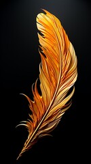 Wall Mural - Close up of golden feather on black background.