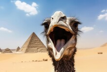 Ostrich Selfie Pyramids. Cute Animal. Generate Ai