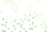 Fototapeta Panele - Light Green vector sketch pattern.