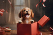 Hund kommt aus geschenk box weihnachten haustier feier schleife geburtstag paket