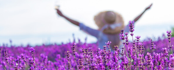 Canvas Print - girl in lavender field. Selective focus