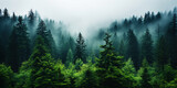 Fototapeta Fototapety z naturą - Misty mountain landscape with fir forest in vintage retro style. Generative AI