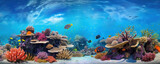 Fototapeta  - Vibrant Underwater Oasis: Fish and Coral Reef 