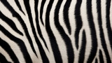 Fototapeta Konie - Closeup of zebra fur pattern