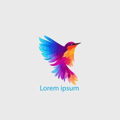 Wall Mural - colorful bird logo gradient vector