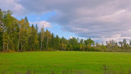 Wall Mural - Beautiful panoramic view of autumn landscape with forest colorful trees and green field on background of blue sky with white clouds. Sweden.