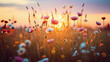 © NoOneSaid - A field of wild blooms bathed in the warm hues of the setting sun.