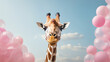 Beautiful African giraffe blowing bubble gum
