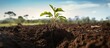 Regenerating Australian farm with soil microbe growth