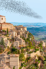Wall Mural - Beautiful medieval town Gordes - Provence, France