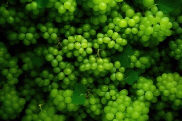 Fresh fruit brunch green grapes