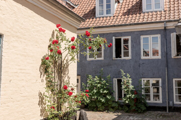 Small houses in the historic old city center of Aalborg. Denmark