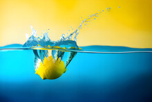 A Lemon Falling Into The Water With A Yellow Background, Lemon Slices Float On The Water, Realistic Water Splashes, Water Background, Lemons.