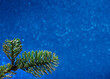 Lone fir branch on blue sparkling background