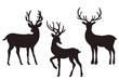 Silhouette of beautiful  deers on white background. Vector illustration