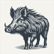 Wild boar. Vintage woodcut engraving style vector illustration.