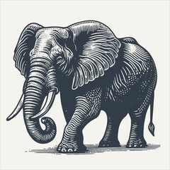 Wall Mural - Elephant. Vintage woodcut engraving style vector illustration.	