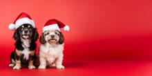 Christmas And New Year Greeting Card Dog In A Santa Claus Hat Isolated On Red Background