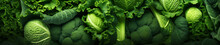 Closeup Of A Green Glowing Vegetable, Microscopic, Abstract, Leaf, Macro, Wallpaper
