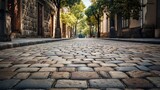 Fototapeta Uliczki - A picturesque stone pathway made of cobblestones and bricks, a testament to architectural heritage, creating a textured background for urban scenes