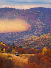 Wall Mural - rural landscape of ukrainian carpathians. mountainous countryside scenery in autumn. scenery with fo