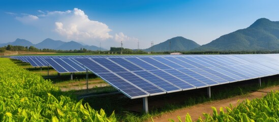 Canvas Print - Solar panels used in Thai countryside to irrigate corn fields