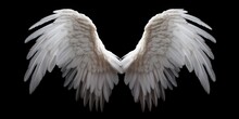 Angel Wings Isolated On The Black Background, Fantasy Feather Wings For Fashion Design, Cosplay And Dress Up Party.